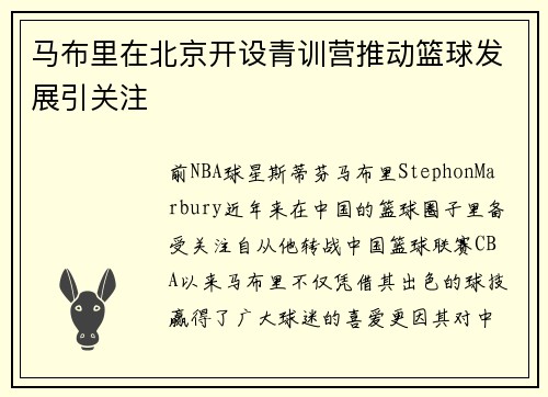 马布里在北京开设青训营推动篮球发展引关注
